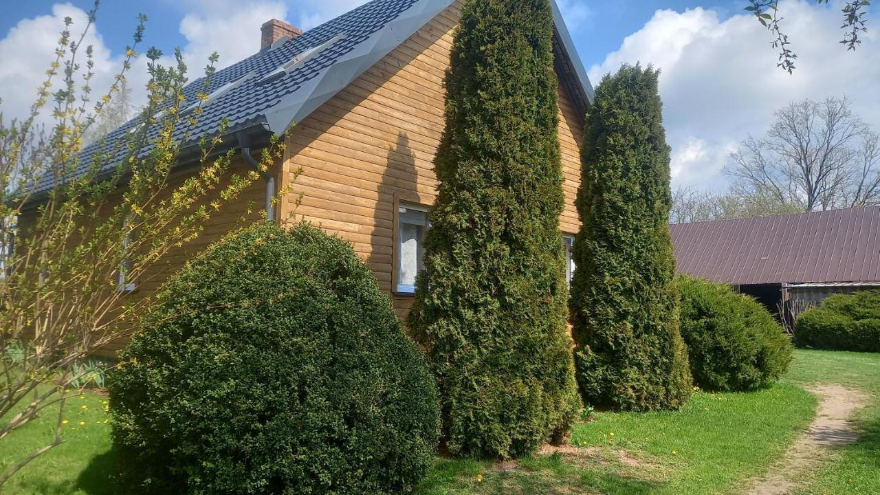 Dom Do Wynajecia Bocianie Gniazdo Augustów Exterior foto